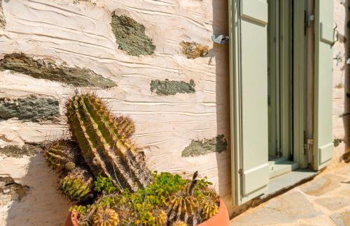 MEGAS GIALOS HARMONY - Foto 62