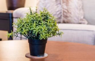 6BR Downtown Side-by-Side Townhomes 2 Garages - Foto 66