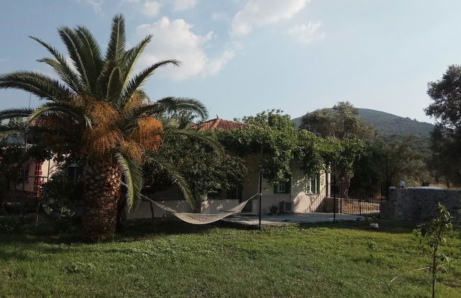 Country Village House - Foto 21