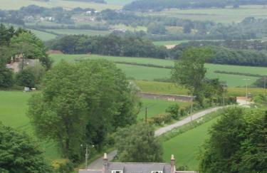 Eastwood Cottage - Photo 10