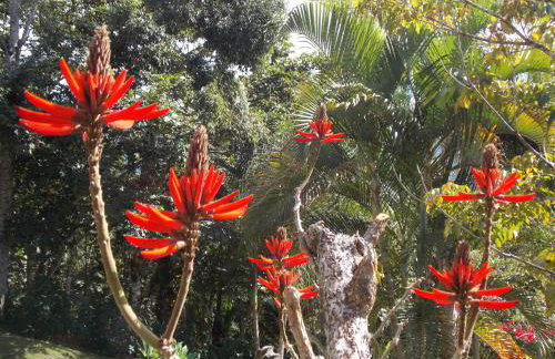 Sítio Cumuru - Foto 42