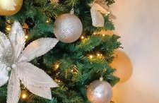 Seaside Oasis - Foto 8