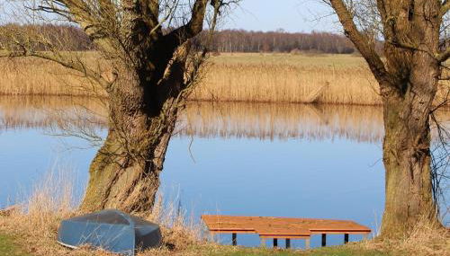 Reetdachhaus direkt am Wasser - Foto 2