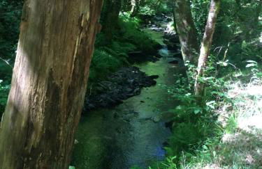 Apartamento La Corrada - Foto 24