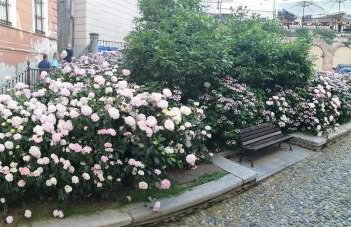 Casa Piazzetta - Foto 35