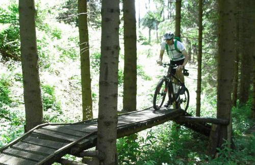 Ferienwohnung auf dem Dach des Frankenwaldes - Foto 26