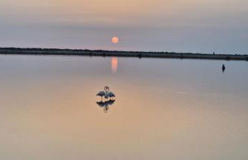 Casita Lunicita - Villananitos Beach - Foto 21
