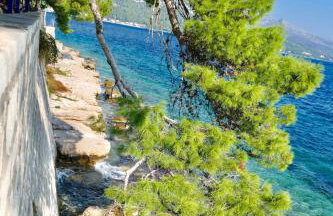 MT Seafront Residence - Foto 27