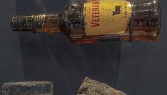 Luxusferienhaus Isernhagen - Foto 5