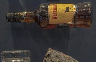 Luxusferienhaus Isernhagen - Foto 5