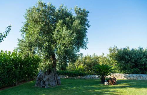 Villa Il Mio Paradiso - Foto 22