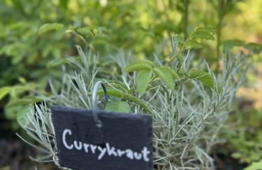 Luxus Studio 10 Min zur Porta Nigra inkl Parkplatz - Foto 55