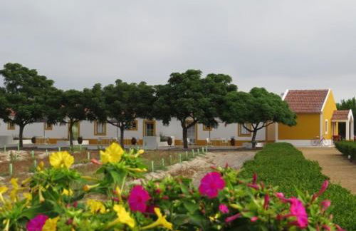 Monte do Brejinho de Água - Foto 36