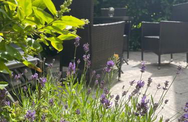 Ferienwohnung mit Terrasse - Insel Usedom - Foto 71