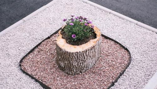 Apartamentos El Valle - Foto 5, Garden, Garden view