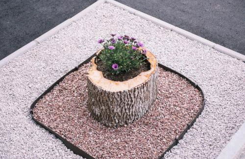 Apartamentos El Valle - Photo 5