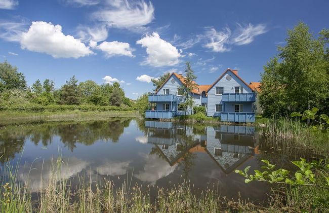 1 bedroom Apartment in Göhren-Lebbin with swimming pool and garden - Photo 55