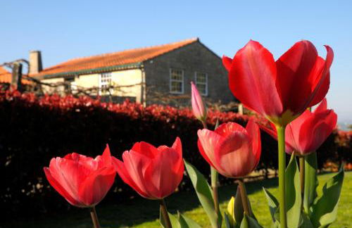 Quinta do Caritel - Foto 30