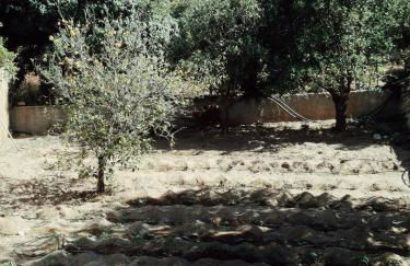 Villa Elea Apartments - Photo 34