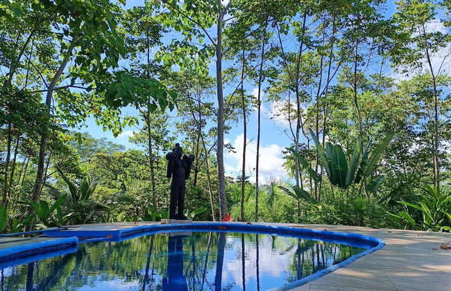 Corcovado Private Villas - Foto 61