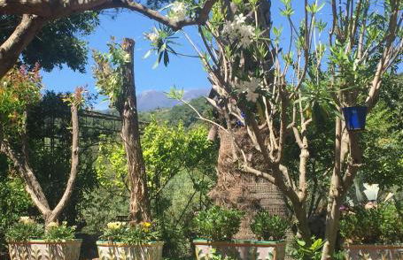 Aprisa apartment - Foto 38