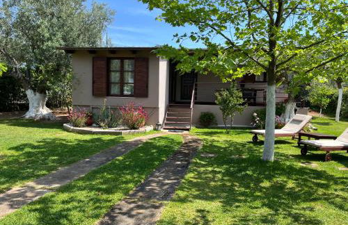 Les Olives Woodhouse - Foto 1