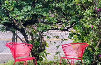 Key West Style Historic Home in Coconut Grove Florida The Yellow House - Foto 3