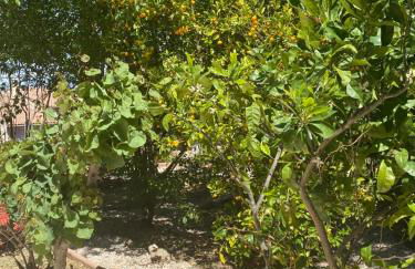 Villa Giens - Plage à pied -9 couchages - Foto 24