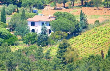 Casa Balena Bianca - Photo 33