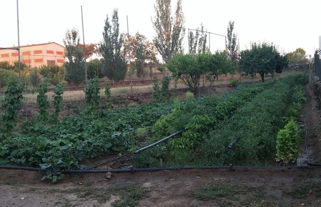 Casa Rural la Vallejera - Photo 24