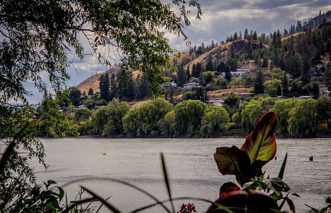 Rayleigh River Retreat - Garden Oasis - Photo 53