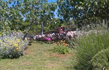 Apartments Krušvina - Foto 71