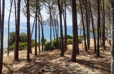 La Villa Tanca Piras - Foto 54