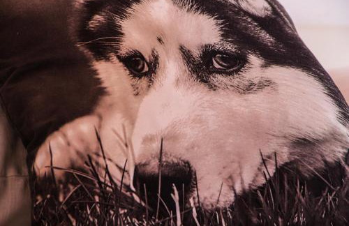 Apartments Adriana - Foto 64