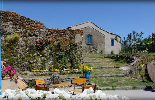 Il Tanaceto - Foto 44