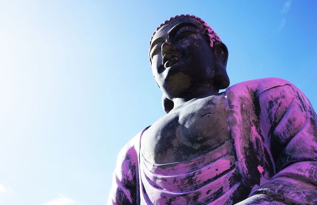 Zen Garden Cottage - Sleeps 2 - Patio & Parking - Foto 13