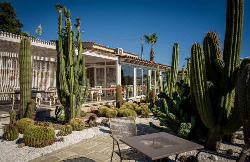 Garden Cactus - Foto 42