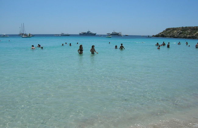 Room in House - Magical Holidays in a Dammuso in Favignana Nestled in a Wonderful Pine Forest - Photo 8