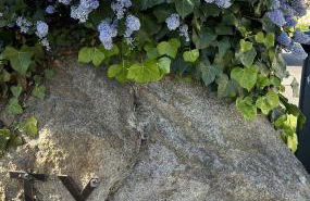 Vacances de charme entre mer et campagne - Ty Meur - Foto 27