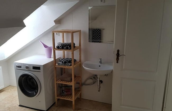 Dresdner-Tag Hermann - Foto 11