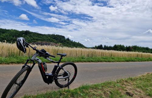 Eifel-FeWo by Salzburger - Foto 21