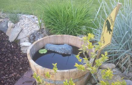 Wildnisresidenz am Nationalpark - Foto 48