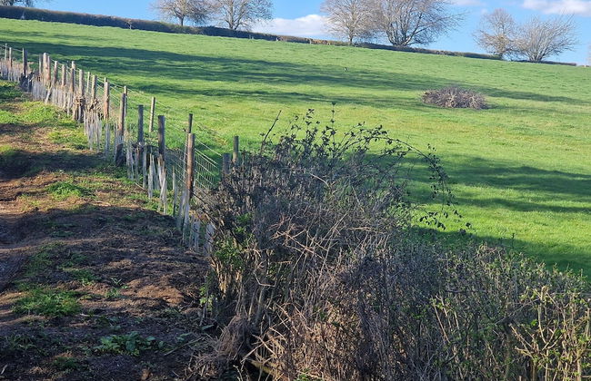 Fully Detached Cottage House Loddington Kettering - Foto 43