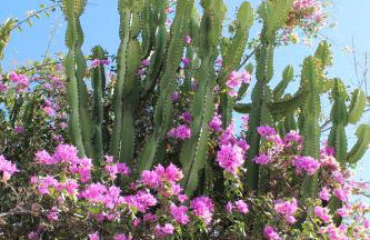 Can Mossènyer - Foto 77