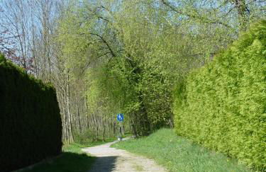 Apartment Zettler - Foto 28