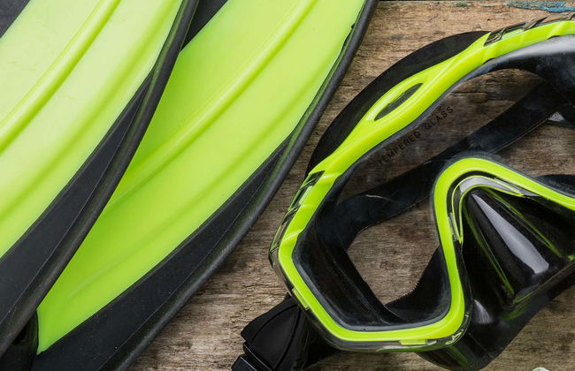 Snorkeling alle isole Cabras - Foto 5