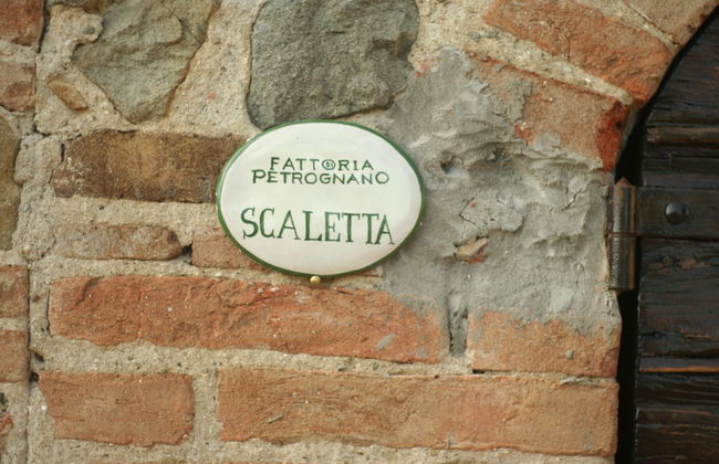 Fattoria Gambaro di Petrognano - Foto 52