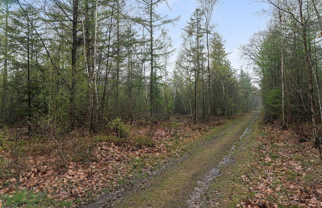 Beautiful Holiday Chalet in Emst With a Private Garden - Photo 31