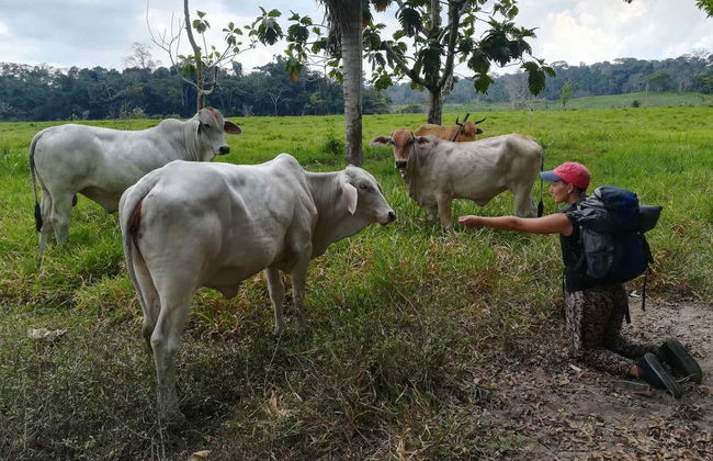 Cheese & Yoghurt Workshop in Puerto Inca - Foto 2