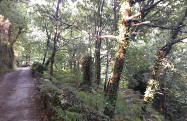 Quinta da Casa Matilde - NATURE HOUSE - Foto 58